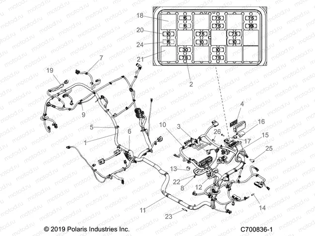 ELECTRICAL | ELECTRICAL, WIRE HARNESS - Z20PAL92BG/BP/G92AG/AP/LG (C700836-1)