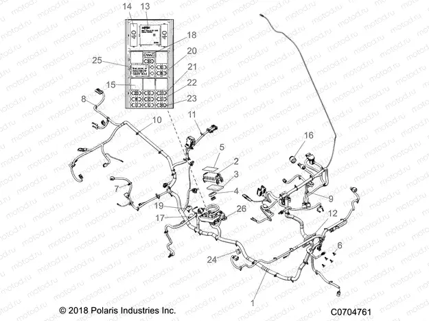 ELECTRICAL | ELECTRICAL, WIRE HARNESSES - D21BBPD4B4 (C0704761)