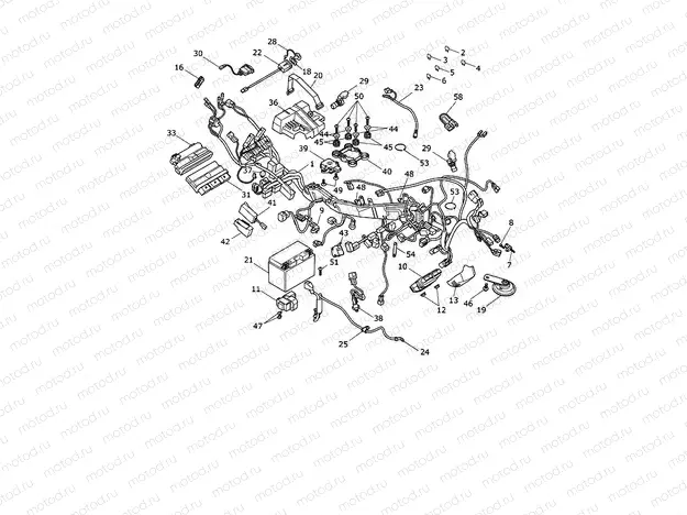 Electrical System