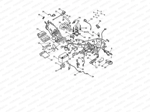 Electrical System