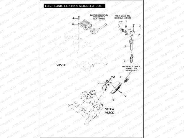 ELECTRONIC CONTROL MODULE & COIL