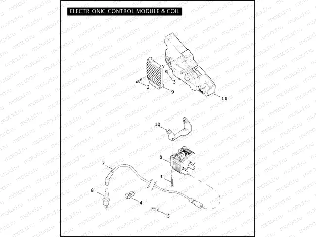 ELECTRONIC CONTROL MODULE & COIL
