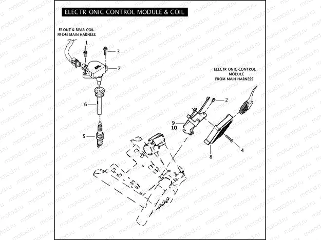ELECTRONIC CONTROL MODULE & COIL