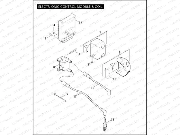 ELECTRONIC CONTROL MODULE & COIL