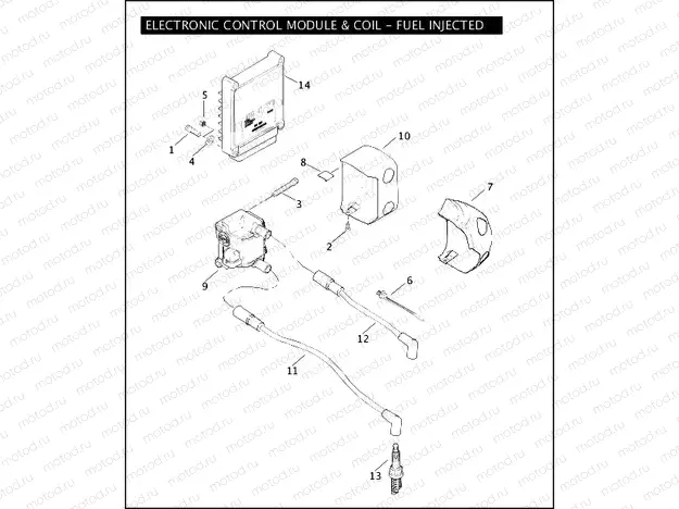 ELECTRONIC CONTROL MODULE & COIL - FUEL INJECTED