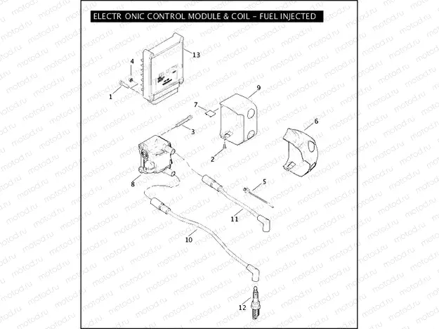 ELECTRONIC CONTROL MODULE & COIL - FUEL INJECTED