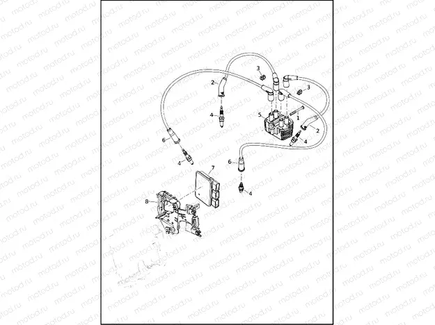 ELECTRONIC CONTROL MODULE (ECM) AND COIL