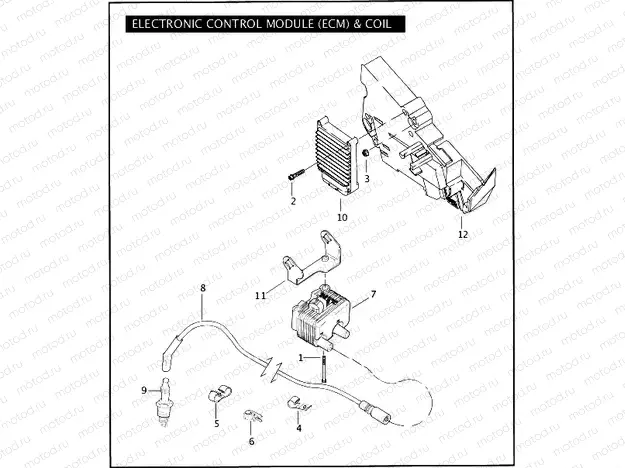 ELECTRONIC CONTROL MODULE (ECM) & COIL