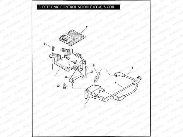 ELECTRONIC CONTROL MODULE (ECM) & COIL