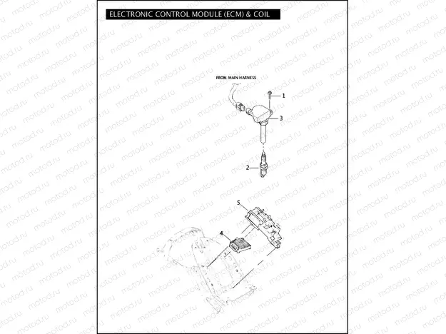 ELECTRONIC CONTROL MODULE (ECM) & COIL