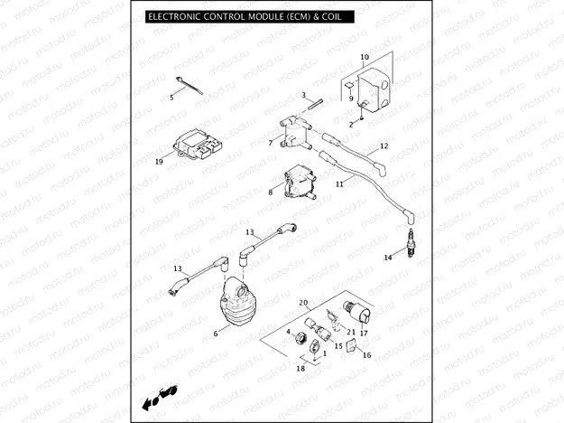 ELECTRONIC CONTROL MODULE (ECM) & COIL