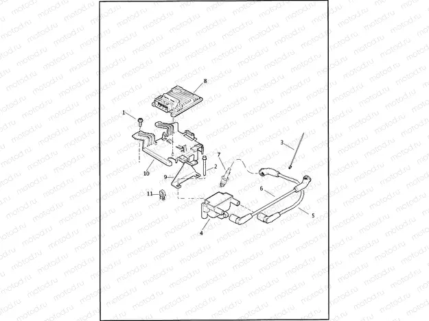 ELECTRONIC CONTROL MODULE (ECM) & COIL