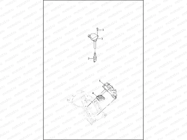 ELECTRONIC CONTROL MODULE (ECM) & COIL
