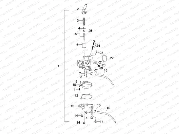 ENGINE | ENGINE, CARBURETOR - A19YAK05B7/B6/N7/N6 (A00085)