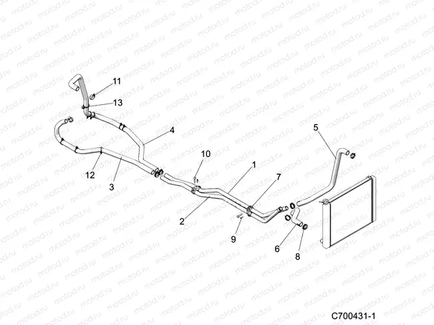 ENGINE | ENGINE, COOLING, HOSES - D21BBPD4B4 (C700431-1)