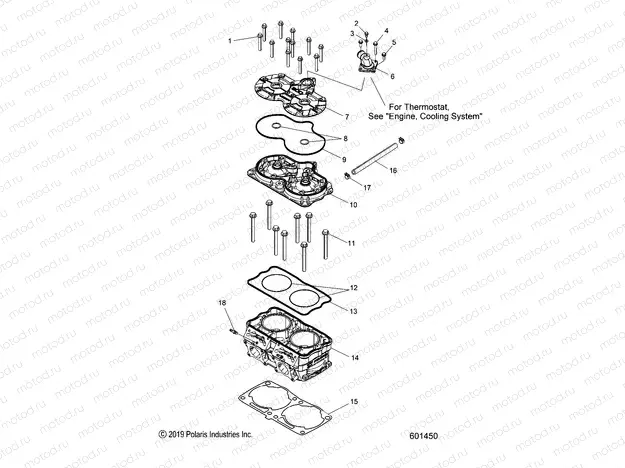 ENGINE | ENGINE, CYLINDER - S20DDL8PS ALL OPTIONS (601450)
