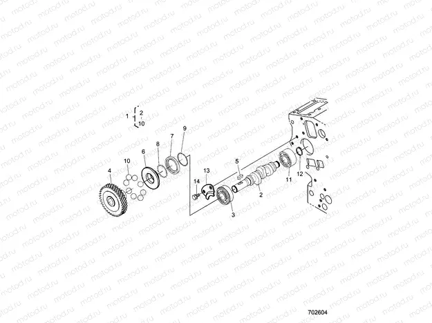 ENGINE | ENGINE, FUEL CAMSHAFT AND GOVERNOR SHAFT - D21BBPD4B4 (702604)