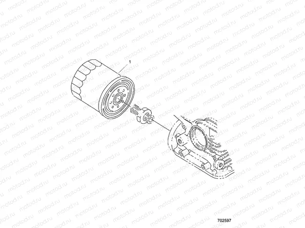 ENGINE | ENGINE, OIL FILTER - D21BBPD4B4 (702597)