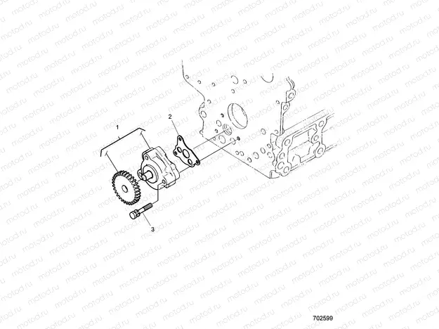 ENGINE | ENGINE, OIL PUMP - D21BBPD4B4 (702599)