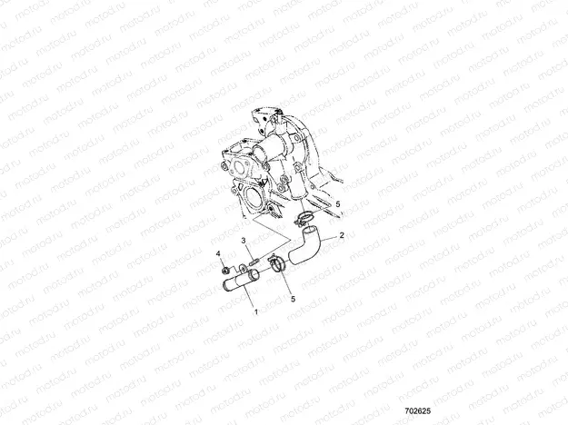 ENGINE | ENGINE, WATER PIPE - D21BBPD4B4 (702625)
