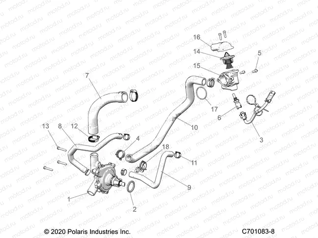 ENGINE | ENGINE, WATERPUMP AND BYPASS - G21GAJ99AC/AW/BC/BW (C701083-8)