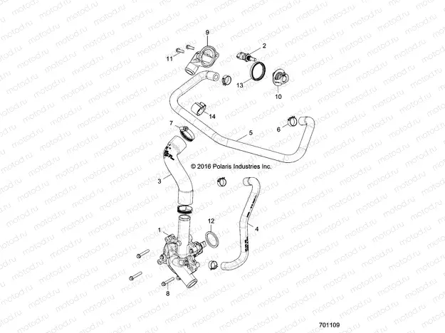 ENGINE | ENGINE, WATERPUMP AND BYPASS - R17RT_99 ALL OPTIONS (701109)