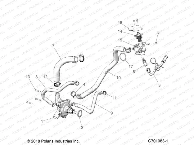 ENGINE | ENGINE, WATERPUMP AND BYPASS - Z22ASE99F4/F5/S99C4/C5 (C701083-1)