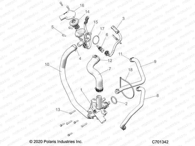 ENGINE | ENGINE, WATERPUMP AND BYPASS - Z22N4E99AJ/AN/BJ/BN (C701342)