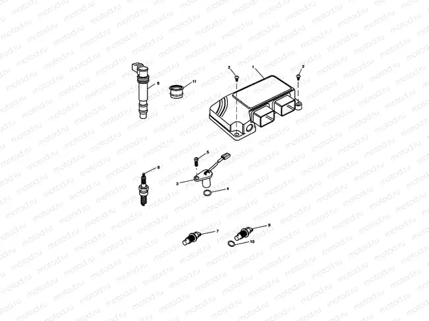 Engine Management System