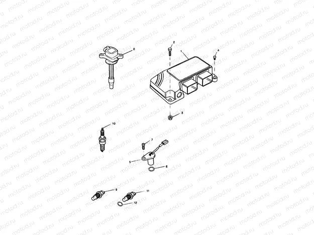 Engine Management System