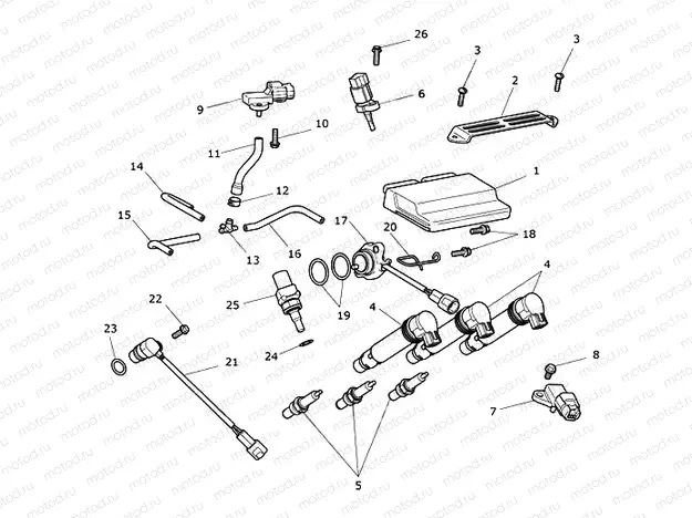 Engine Management System