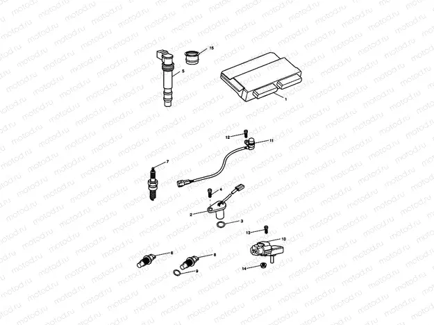 Engine Management System
