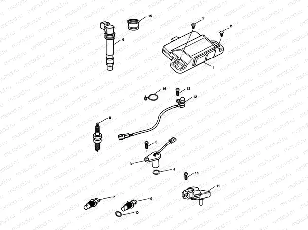 Engine Management System