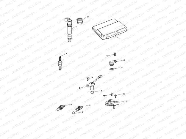 Engine Management System