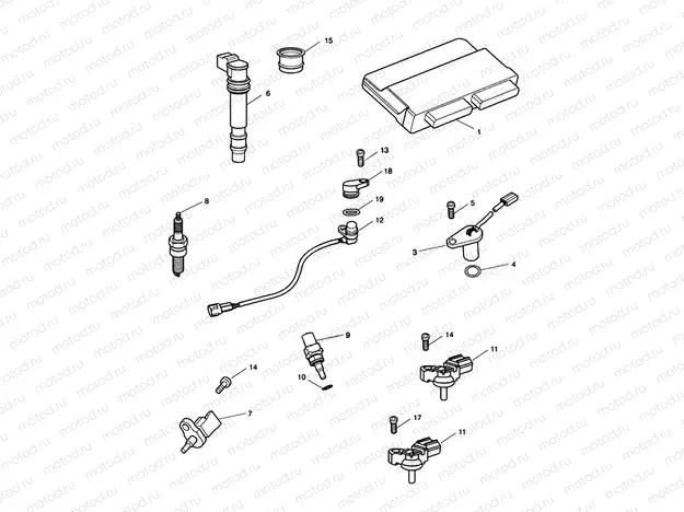 Engine Management System