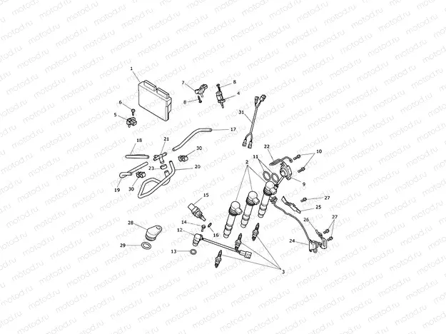 Engine Management System