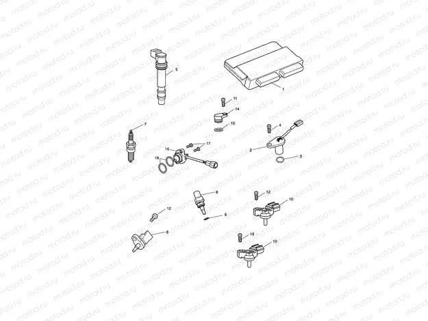 Engine Management System