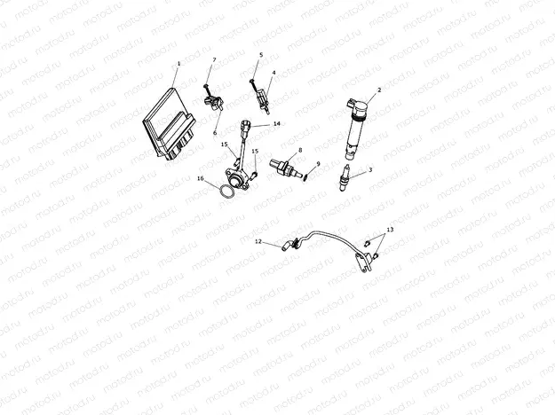 Engine Management System