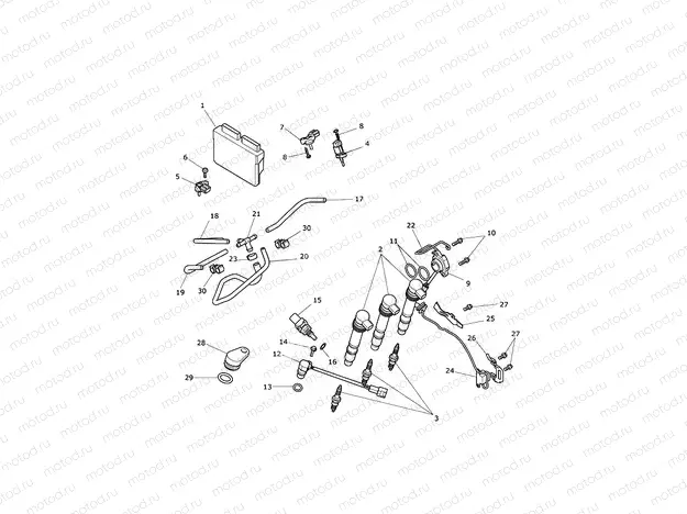 Engine Management System