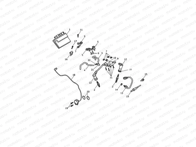 Engine Management System