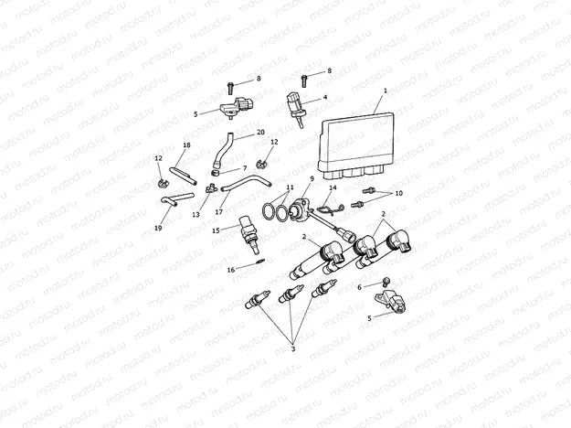 Engine Management System
