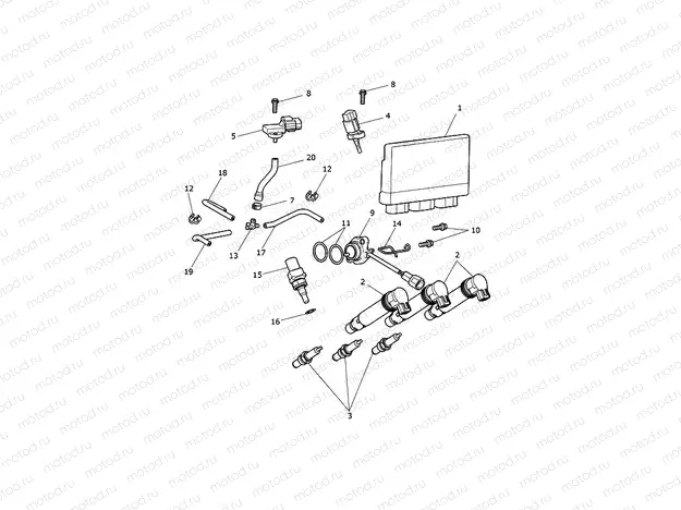 Engine Management System