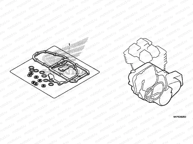 EOP-2 GASKET KIT B