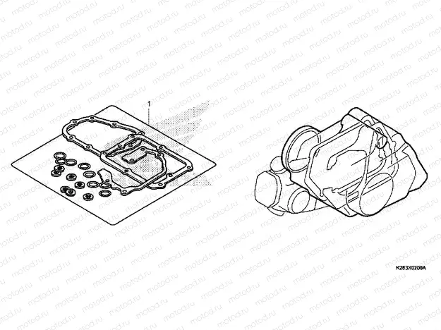EOP-2 GASKET KIT B