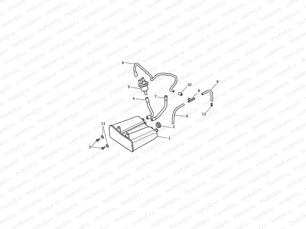 Evap System 833613