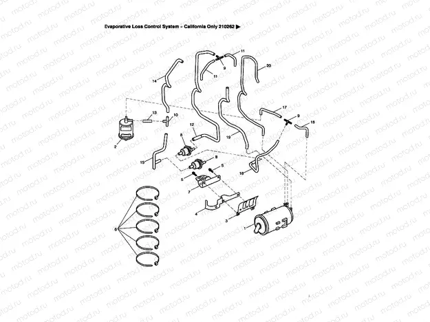 Evaporative Loss Control System 210262 >