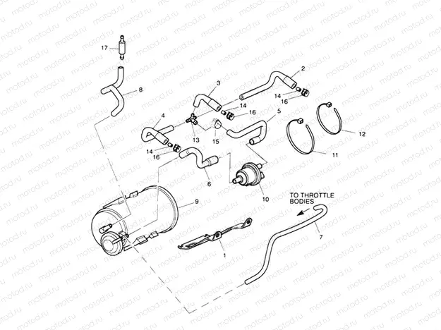 Evaporative Loss Control System