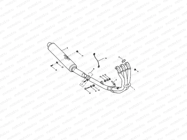 Exhaust System