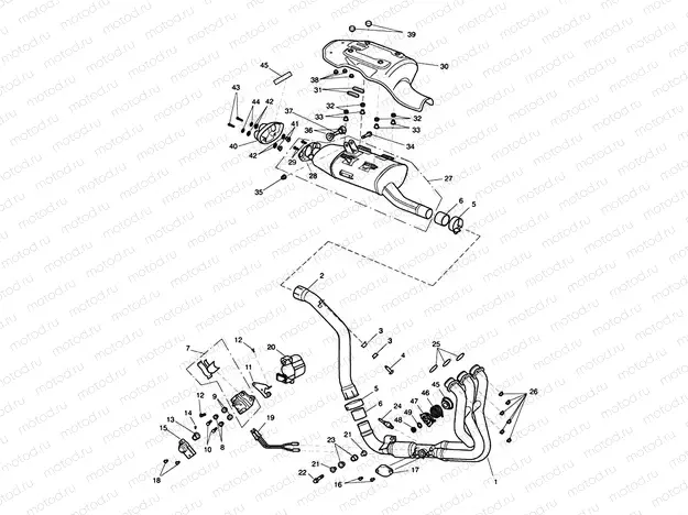 Exhaust System