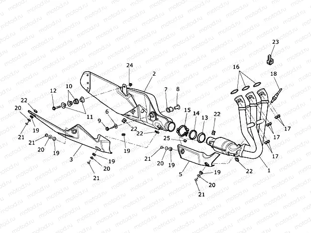 Exhaust System
